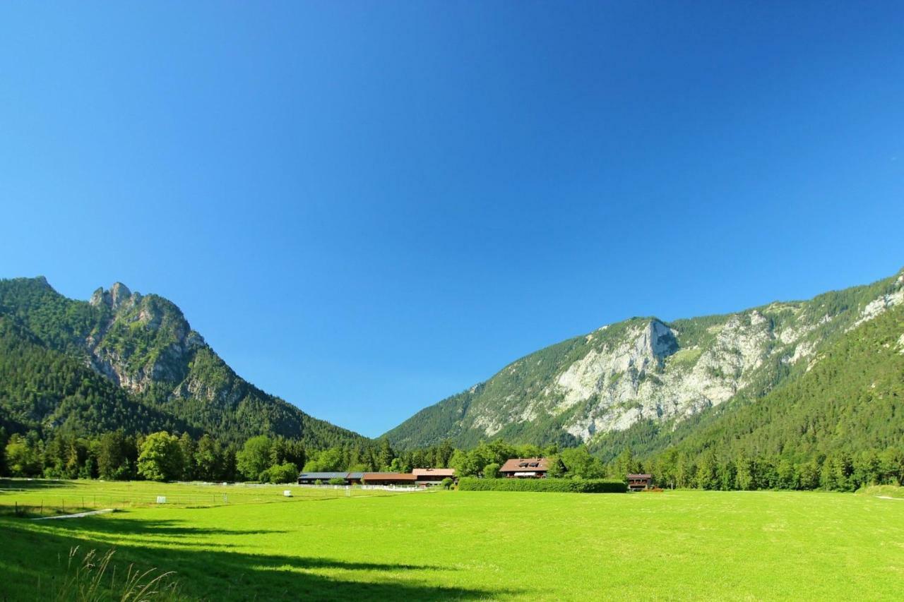 Ferienhaus Gestuet Pfaffenlehen Бишофсвизен Экстерьер фото